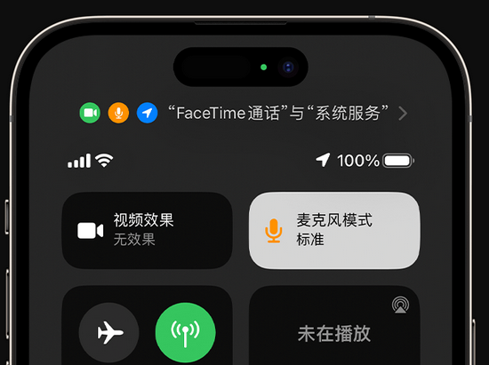 文安苹果授权维修网点分享iPhone在通话时让你的声音更清晰 