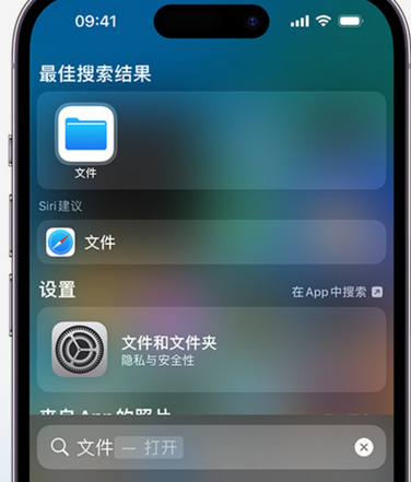 文安apple维修中心分享iPhone文件应用中存储和找到下载文件 