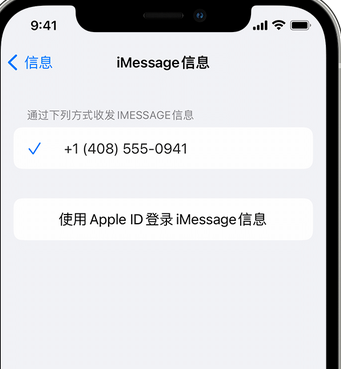 文安apple维修iPhone上无法正常发送iMessage信息 