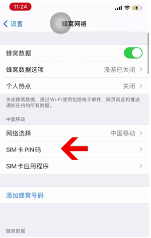 文安苹果14维修网分享如何给iPhone14的SIM卡设置密码 