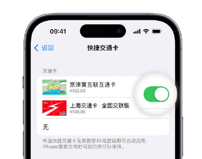 文安apple维修点分享iPhone上更换Apple Pay快捷交通卡手绘卡面 