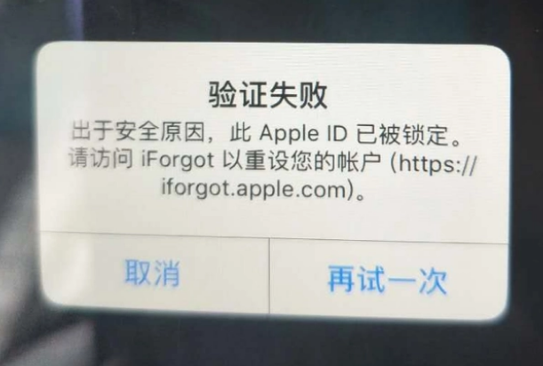 文安iPhone维修分享iPhone上正常登录或使用AppleID怎么办 