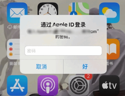 文安苹果设备维修分享无故多次要求输入AppleID密码怎么办 