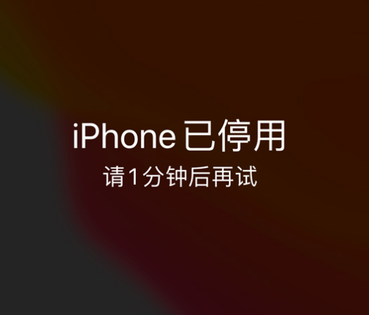 文安苹果手机维修分享:iPhone 显示“不可用”或“已停用”怎么办？还能保留数据吗？ 