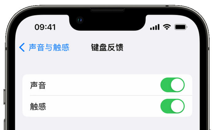 文安苹果手机维修分享iPhone 14触感键盘使用方法 