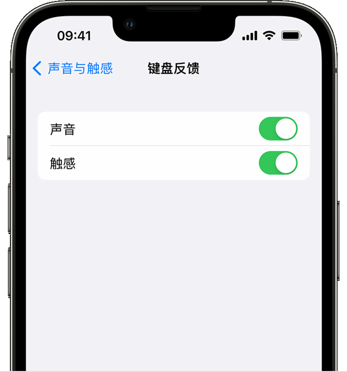 文安苹果14维修店分享如何在 iPhone 14 机型中使用触感键盘 