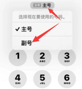 文安苹果14维修店分享iPhone 14 Pro Max使用副卡打电话的方法 