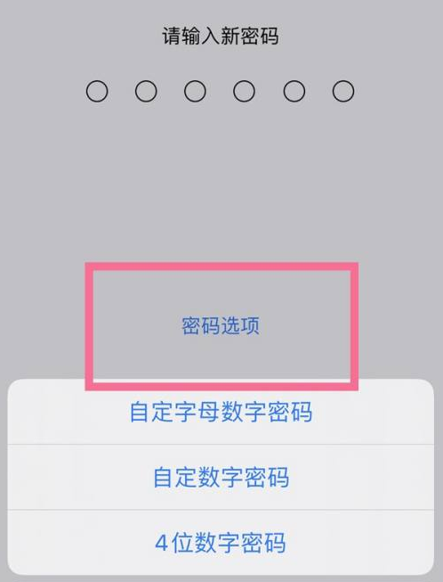 文安苹果14维修分享iPhone 14plus设置密码的方法 