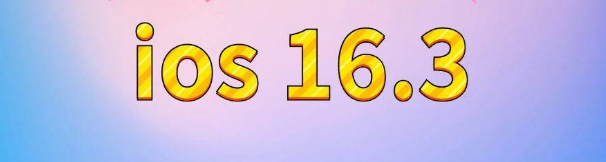 文安苹果服务网点分享苹果iOS16.3升级反馈汇总 