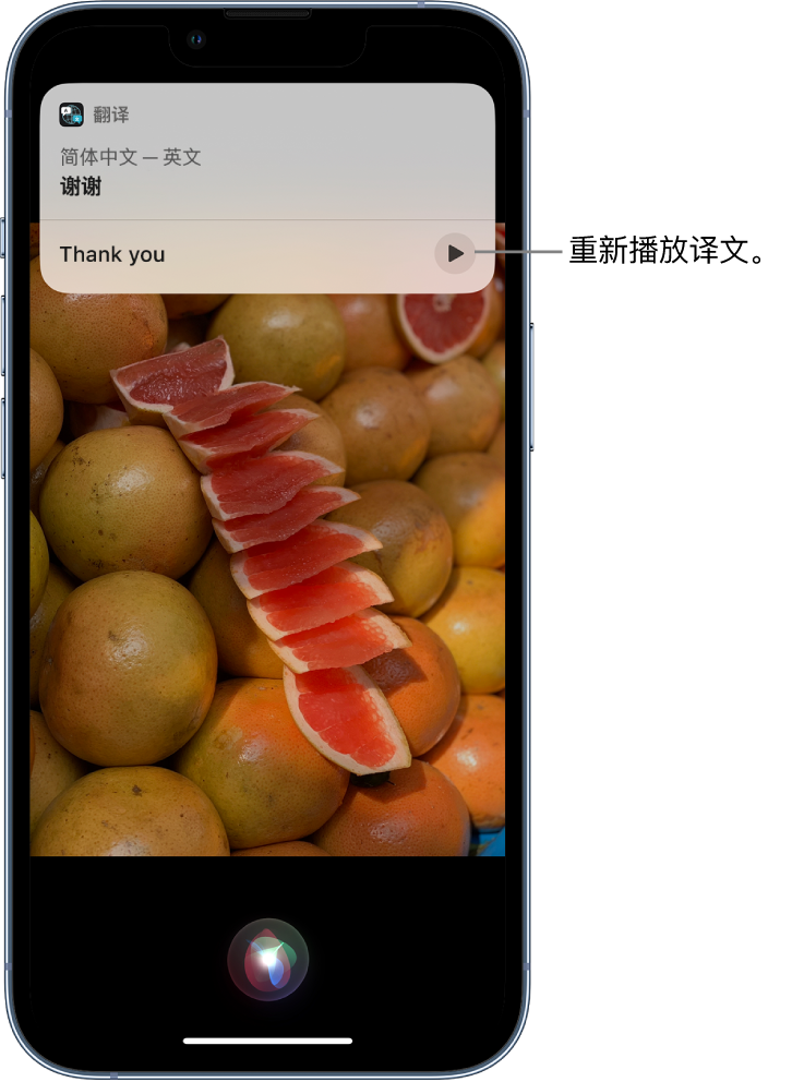 文安苹果14维修分享 iPhone 14 机型中使用 Siri：了解 Siri 能帮你做什么 