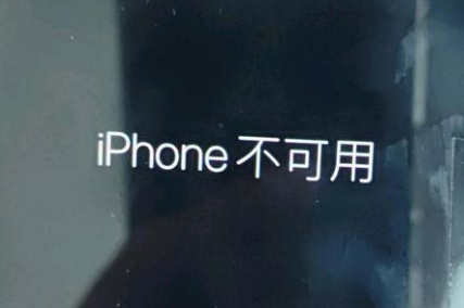 文安苹果服务网点分享锁屏界面显示“iPhone 不可用”如何解决 