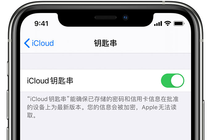 文安苹果手机维修分享在 iPhone 上开启 iCloud 钥匙串之后会储存哪些信息 