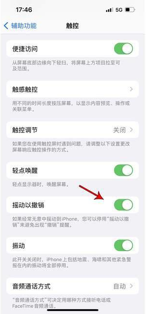 文安苹果手机维修分享iPhone手机如何设置摇一摇删除文字 